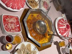 -蜀九香火锅(九眼桥店)