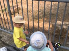 景点-无锡动物园·太湖欢乐园