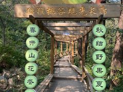 -大岭沟猕猴桃谷风景区