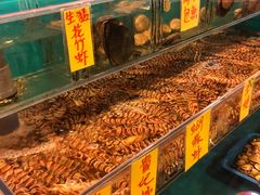 -鲜入围煮花胶鸡海鲜火锅
