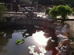 -漫渡庄绿岛花园•隐世庭园菜(滨湖店)