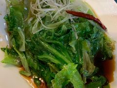 -食家鸽园