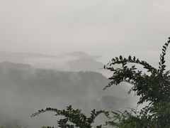 -四明山国家森林公园