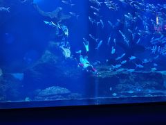 -多彩贵州城极地海洋世界