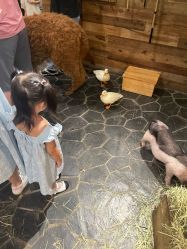 -Zoolung Zoolung动物主题公园(海信广场店)