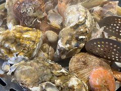 -77号渔船·蒸海鲜青岛菜(积米崖店)