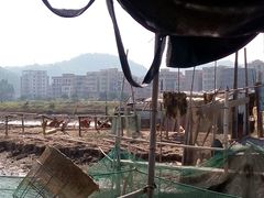 android_upload_pic-辉记虾塘海鲜农庄