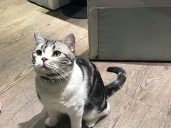 -小时光咖啡馆(开森度假森林店)