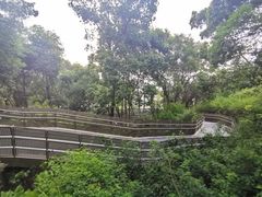-梅峰山地公园