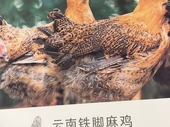 -云海肴·汽锅鸡·云南菜(东坝金隅店)