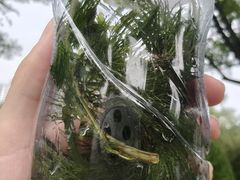 -皇家御河游(紫御湾码头)