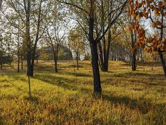 -野鸭湖国家湿地公园