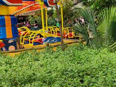 -南宫五洲植物乐园