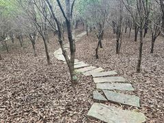 -南京珍珠泉风景区