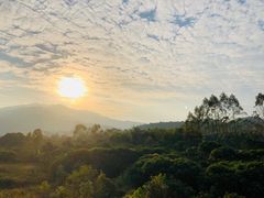 -龙山酒店温泉