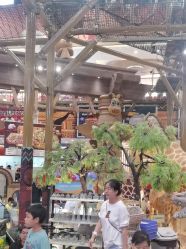 -卡通尼·Safari非洲探索乐园·生日会(金桥国际商业广场店)