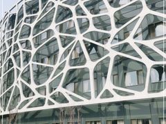 -首都医科大学附属北京天坛医院