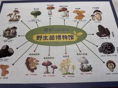 -菌彩云南野生菌火锅(呈贡七彩云南第壹城店)