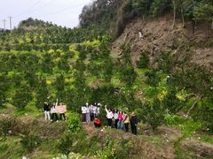 -樱桃山旅游景区