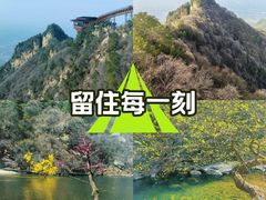 -少华山国家森林公园