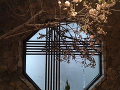 桃花位-渔太泰漓江小馆·广西融合菜(西街店)