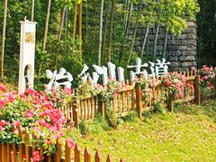 -冶父山国家森林公园