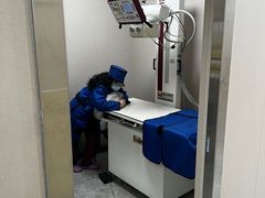 -瑞鹏宠物医院·骨外科·心肾科·肿瘤科(九亭店)