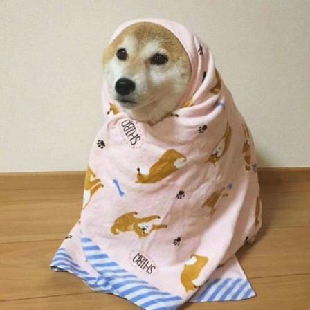 由于朋友的热衷于石棉烤肉,所以总共吃了2次,不过两