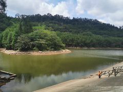 -滴水岩森林公园