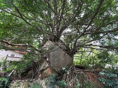 -草庵摩尼教遗址公园