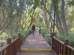 -伊犁河风景区