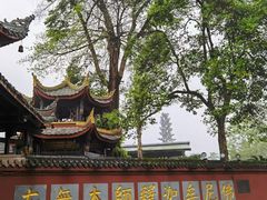 -峨眉山报国寺