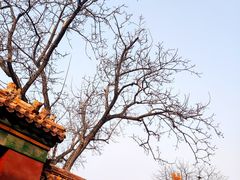 -故宫博物院(故宫)