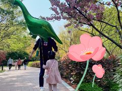 -金鸡湖桃花岛