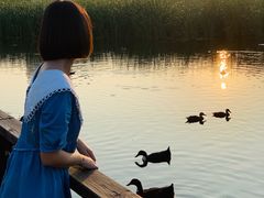 -前关湿地公园