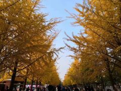 -辽宁大学(崇山校区)