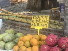 -西双版纳傣族园