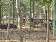 -秦皇岛野生动物园