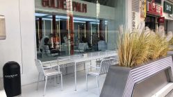 点击看大图 -金棕榈