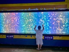 -烟台海昌鲸鲨海洋公园