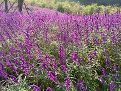 -铜锣山矿山公园