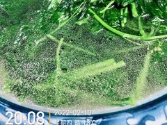 -晓雯人家