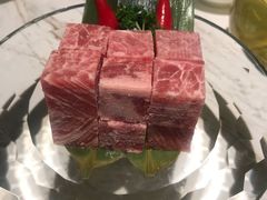 -汤城·料青山