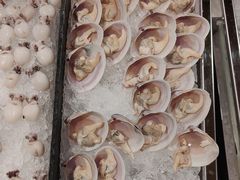 -顺德联塑万怡酒店·万荟轩自助餐厅