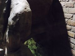 -南昌海洋公园