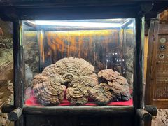 -九乡风景区