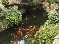 -上海市皮肤病医院(武夷路院区)
