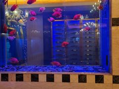 -正院大宅门烤鸭(首体店)