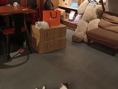 -IFIF 如果花園(宽厚里店)