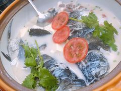 -全乐鱼馆·淳牌有机鱼直营店